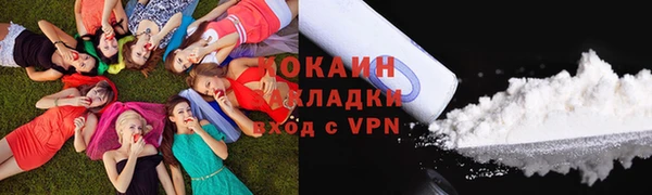 дживик Алзамай