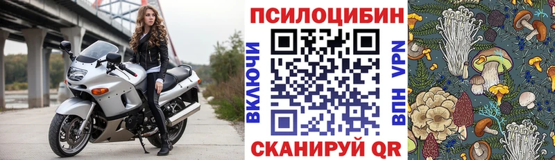 наркошоп  Алушта  Псилоцибиновые грибы прущие грибы 