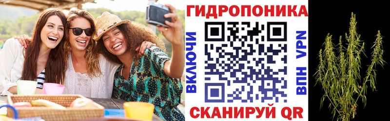 блэк спрут онион  Алушта  Конопля Amnesia  наркотики 